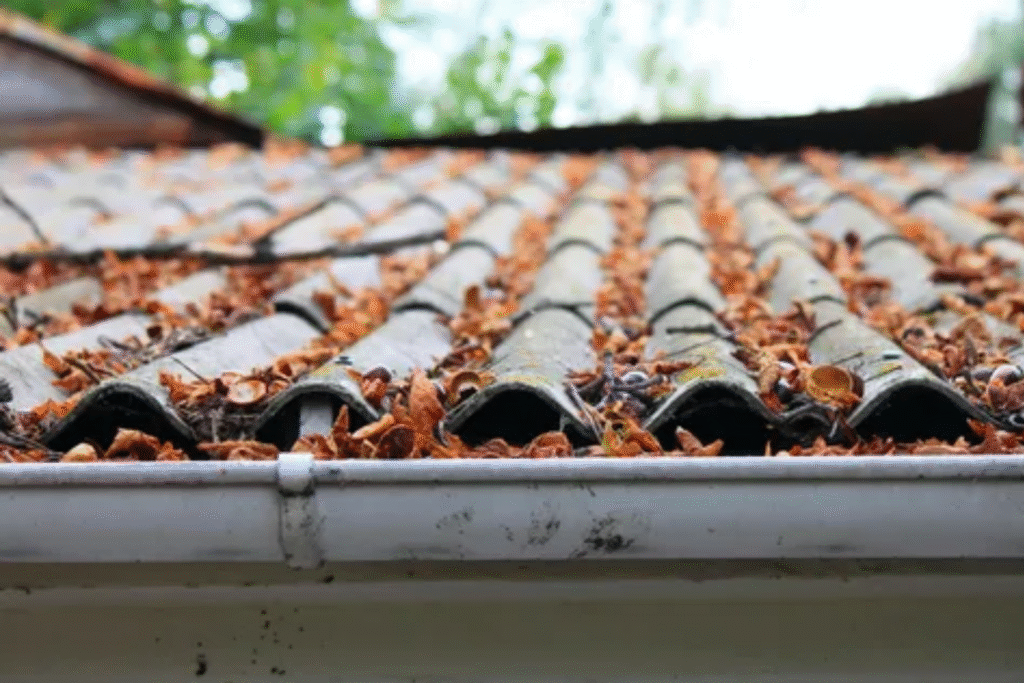 Gutter Cleaning